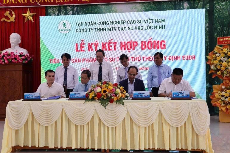 Công ty TNHH MTV Cao su Lộc Ninh: Công bố sản xuất sản phẩm đáp ứng quy định EUDR
