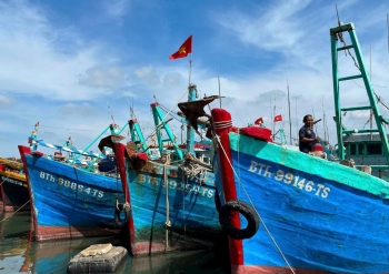 Lâm Đồng: Hướng dẫn chuyển hạn ngạch Giấy phép khai thác thủy sản vùng khơi