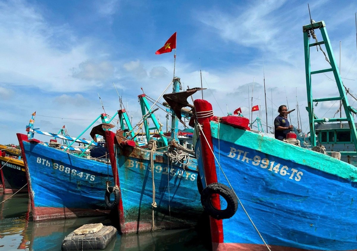 Lâm Đồng: Hướng dẫn chuyển hạn ngạch Giấy phép khai thác thủy sản vùng khơi