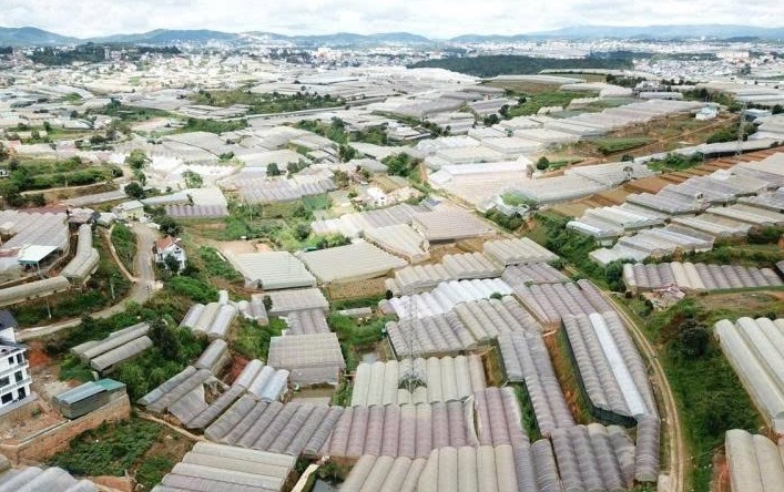 Rà soát diện tích nhà kính ở Đà Lạt: Hướng tới nông nghiệp xanh bền vững