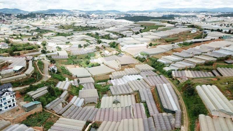 Rà soát diện tích nhà kính ở Đà Lạt: Hướng tới nông nghiệp xanh bền vững
