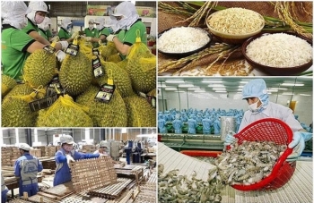 Thủ tướng chỉ đạo tăng cường truy xuất nguồn gốc nông, lâm, thủy sản