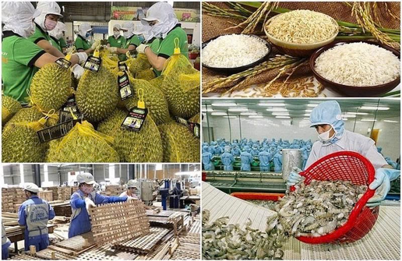 Thủ tướng chỉ đạo tăng cường truy xuất nguồn gốc nông, lâm, thủy sản