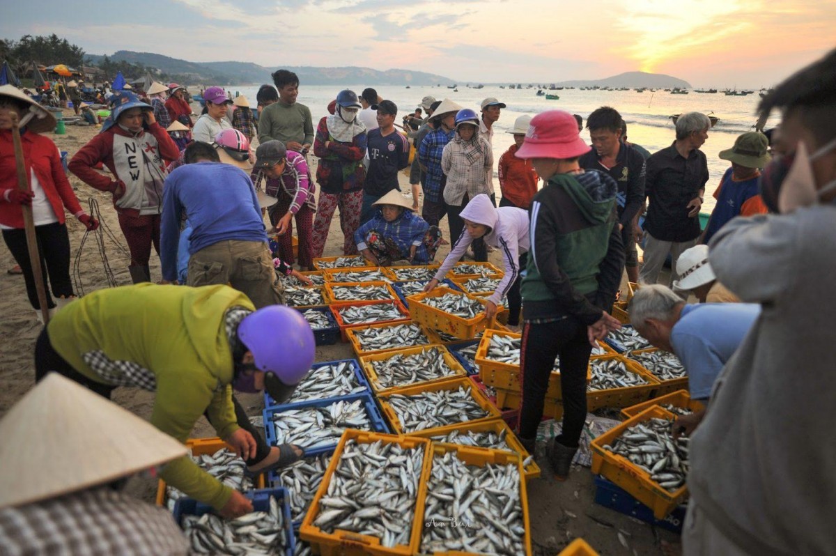 Trải nghiệm làng chài bình yên đẹp như tranh vẽ xứ Đà thành Trải nghiệm làng chài bình yên đẹp như tranh vẽ xứ Đà thành