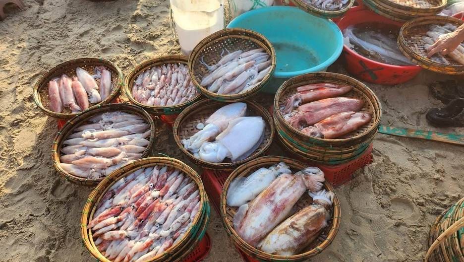Trải nghiệm làng chài bình yên đẹp như tranh vẽ xứ Đà thành Trải nghiệm làng chài bình yên đẹp như tranh vẽ xứ Đà thành