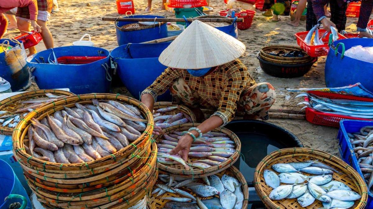 Trải nghiệm làng chài bình yên đẹp như tranh vẽ xứ Đà thành Trải nghiệm làng chài bình yên đẹp như tranh vẽ xứ Đà thành