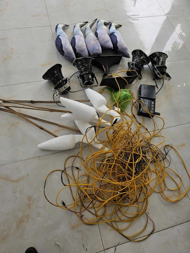 Dụng cụ săn, bắt, bẫy chim di cư, hoang dã bị tịch thu