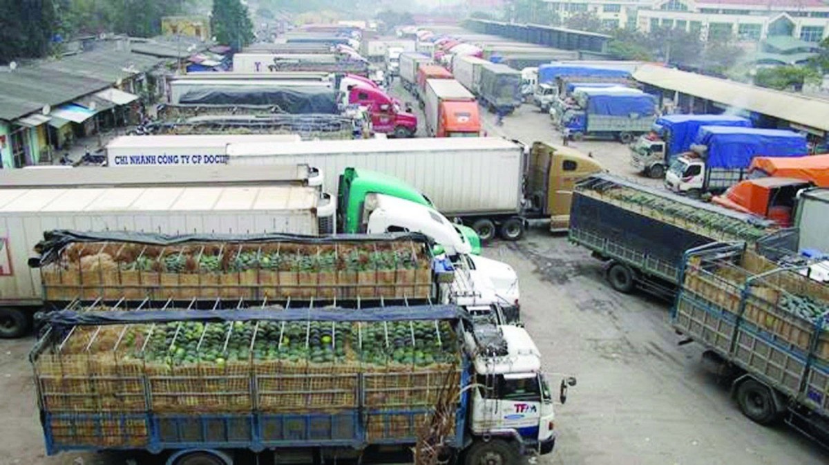 Lâm Đồng: Cảnh báo doanh nghiệp về tình trạng ùn ứ nông sản tại cửa khẩu Lạng Sơn
