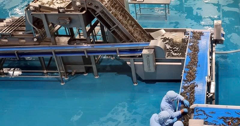 Đắk Lắk cấp Giấy phép môi trường cho dự án chế biến thủy sản