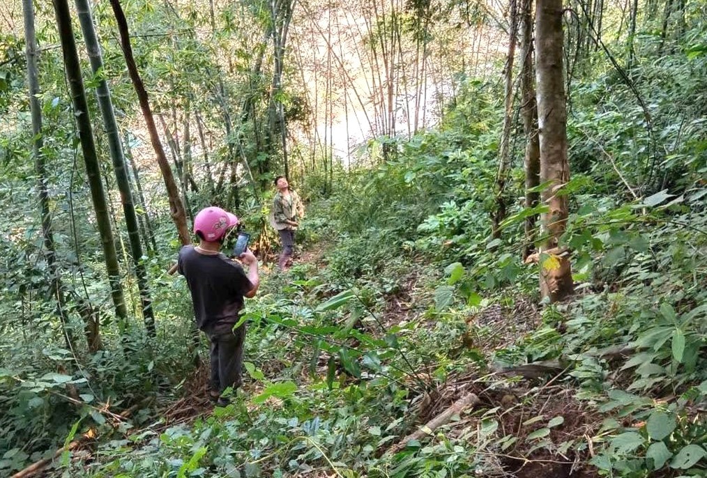 Xuất hiện vết nứt dài trên núi, đe dọa sạt lở xuống quốc lộ huyết mạch ở Nghệ An