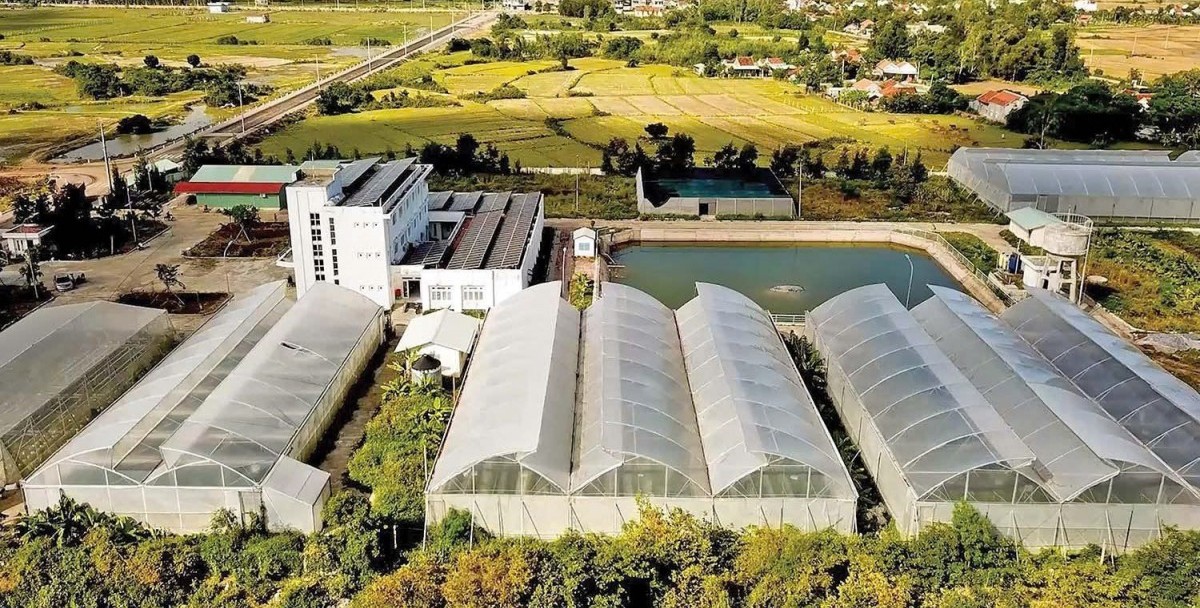 Đắk Lắk đẩy mạnh ứng dụng khoa học, công nghệ và đổi mới sáng tạo trong nông nghiệp