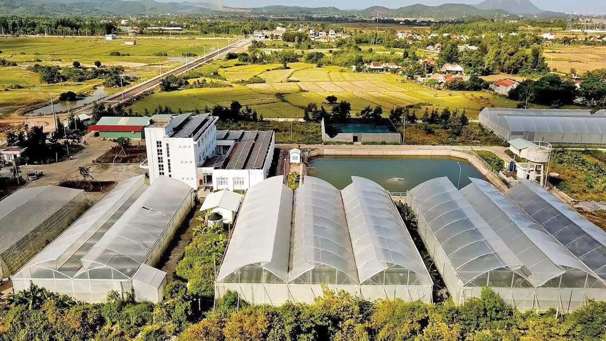 Đắk Lắk đẩy mạnh ứng dụng khoa học, công nghệ và đổi mới sáng tạo trong nông nghiệp