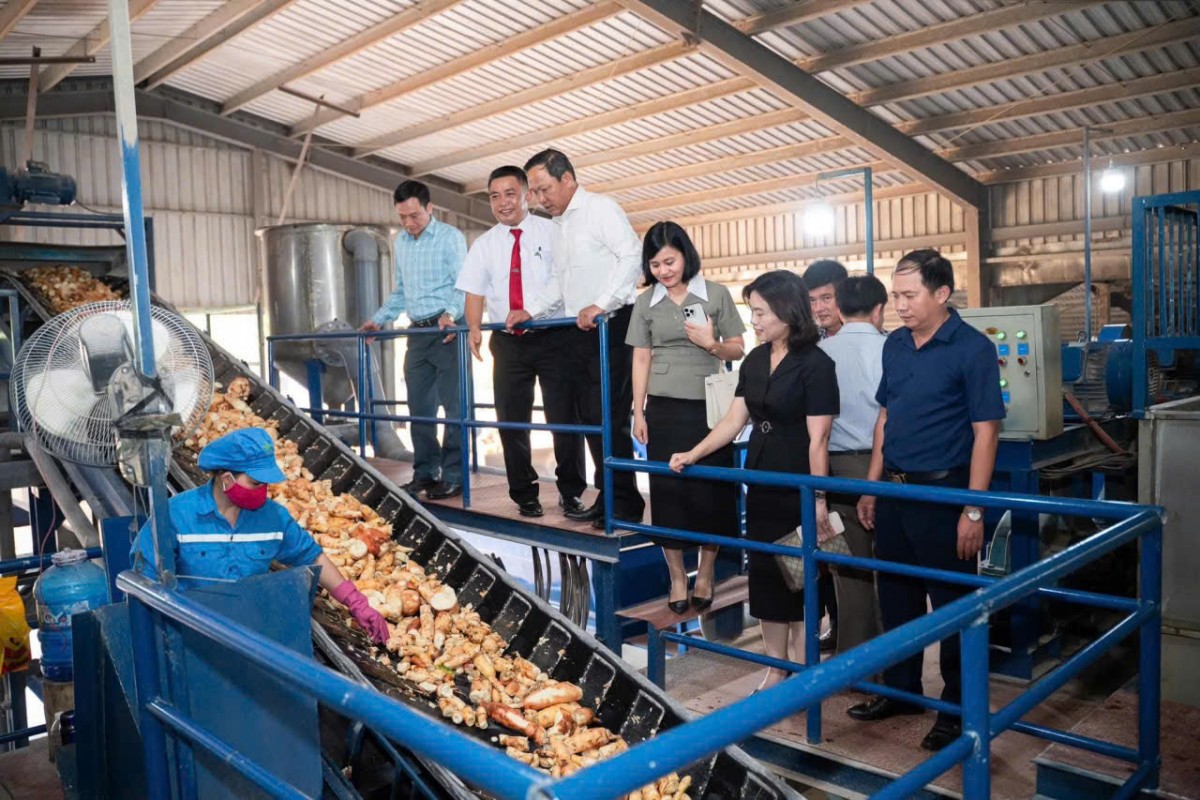 SEPON GROUP tổ chức hội nghị tôn vinh những hộ trồng sắn giỏi năm 2025