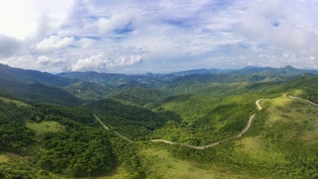 Quảng Ninh: Tháo gỡ những khó khăn, tạo động lực phát triển lâm nghiệp