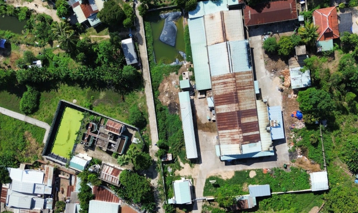 Đà Nẵng: Người dân Tam Kỳ 