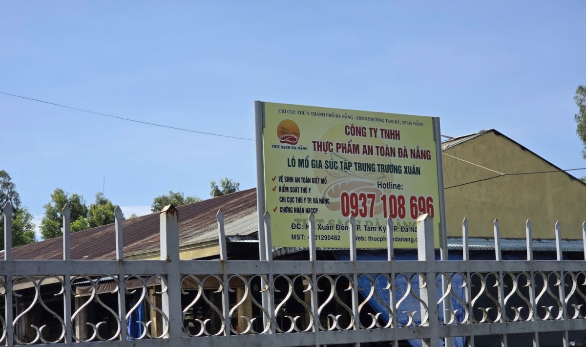 Đà Nẵng: Người dân Tam Kỳ 
