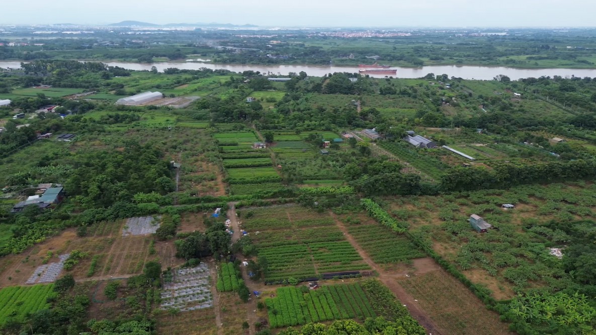 Thành lập Tổ công tác đặc biệt triển khai chiến dịch làm giàu, làm sạch CSDL quốc gia về đất đai