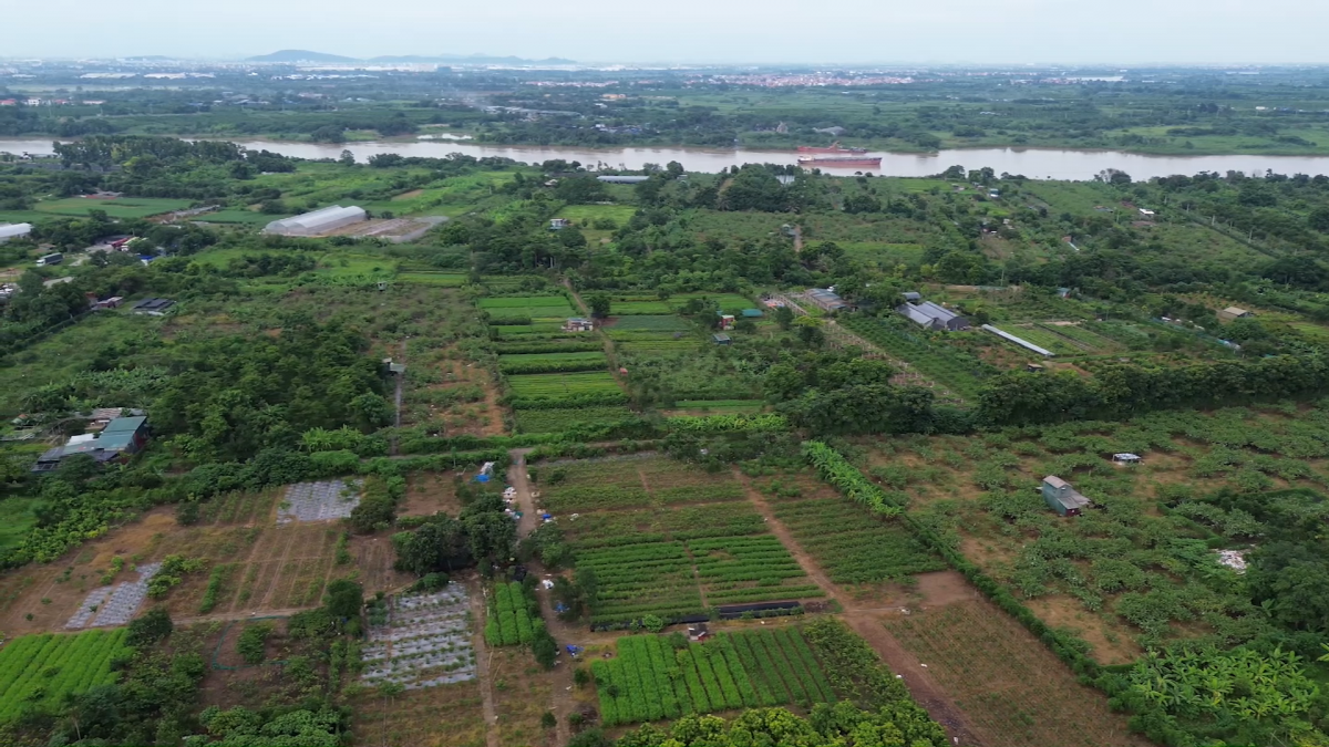Thành lập Tổ công tác đặc biệt triển khai chiến dịch làm giàu, làm sạch CSDL quốc gia về đất đai