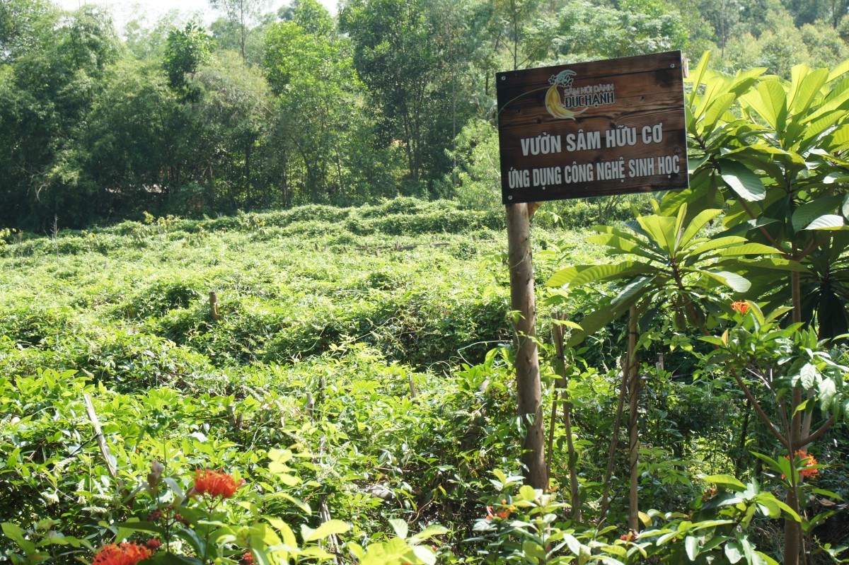 Lợi ích vô hình và hữu hình của nông nghiệp hữu cơ