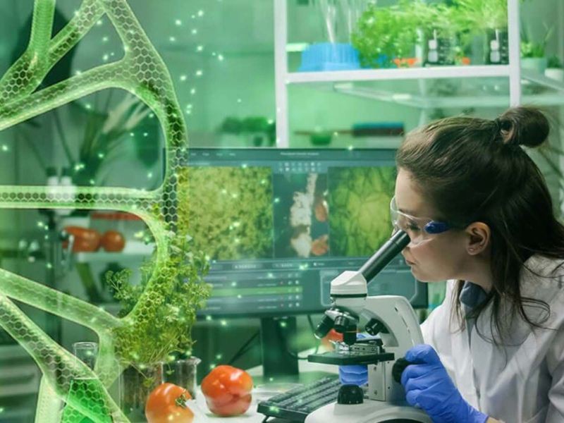 Chiến lược đầu tư nghiên cứu về nông nghiệp công nghệ cao của SumaGrow Biotech Việt nam