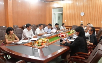 Trồng dâu, nuôi tằm: Hướng đi mới cho phát triển nông nghiệp sạch