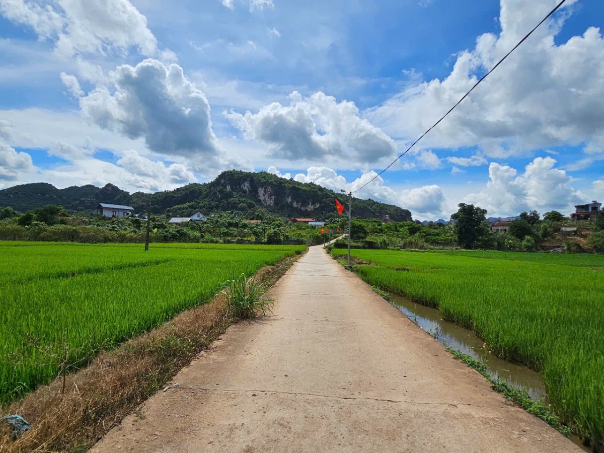Sơn La: Nguồn tiền dịch vụ môi trường rừng góp phần xây dựng nông thôn mới.