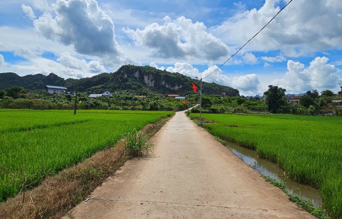 Sơn La: Nguồn tiền dịch vụ môi trường rừng góp phần xây dựng nông thôn mới.