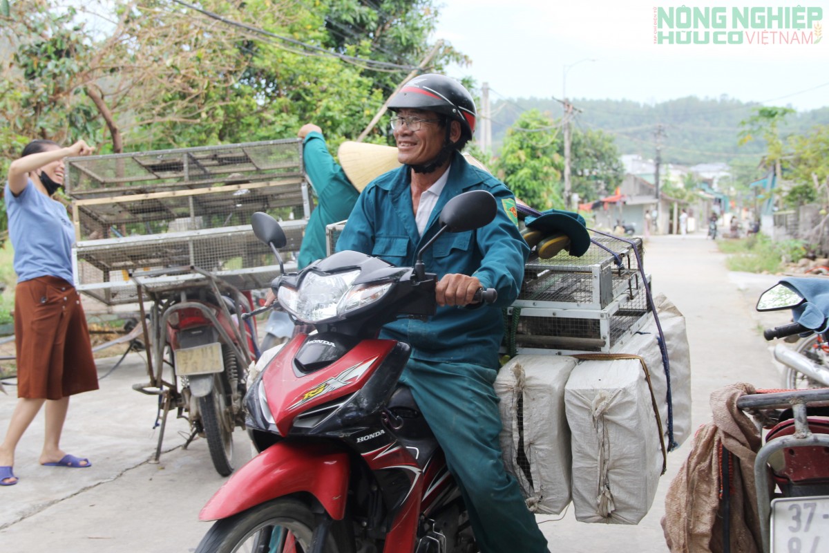 Đổ xô đi săn loài động vật phá hoại mùa màng, nông dân kiếm tiền triệu mỗi ngày