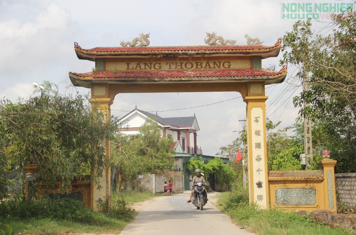 Đổ xô đi săn loài động vật phá hoại mùa màng, nông dân kiếm tiền triệu mỗi ngày