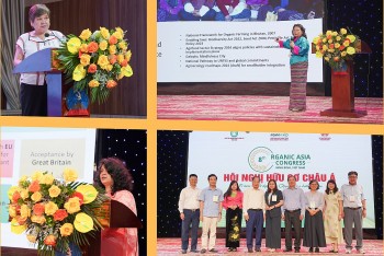 Nông nghiệp hữu cơ: Thách thức và bài học kinh nghiệm rút ra trong quá trình thực hiện