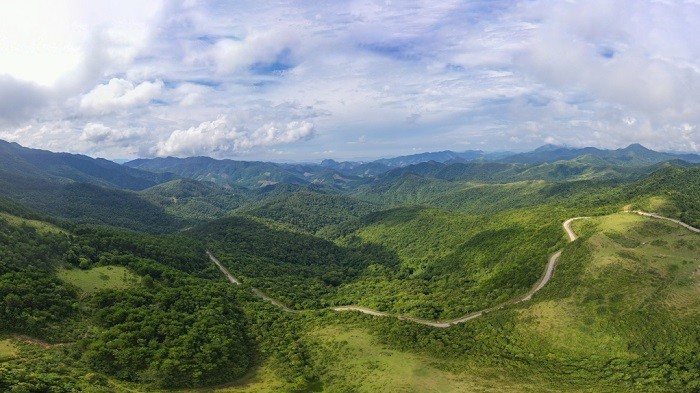 Quảng Ninh: Phát triển lâm nghiệp bền vững