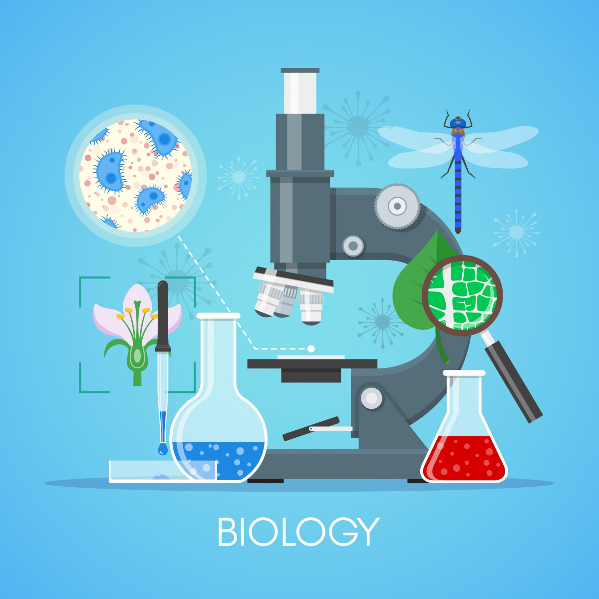 SumaGrow Biotech và sức khỏe của đất: Cuộc cách mạng từ hệ vi sinh