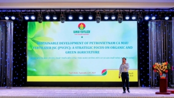 Phân bón Cà Mau: Bộ giải pháp dinh dưỡng toàn diện cho nông nghiệp bền vững