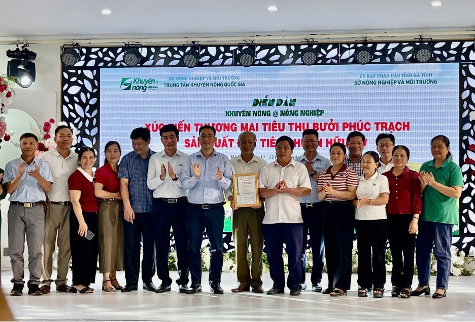 Hội nghị xúc tiến tiêu thụ bưởi Phúc Trạch sản xuất theo tiêu chuẩn hữu cơ