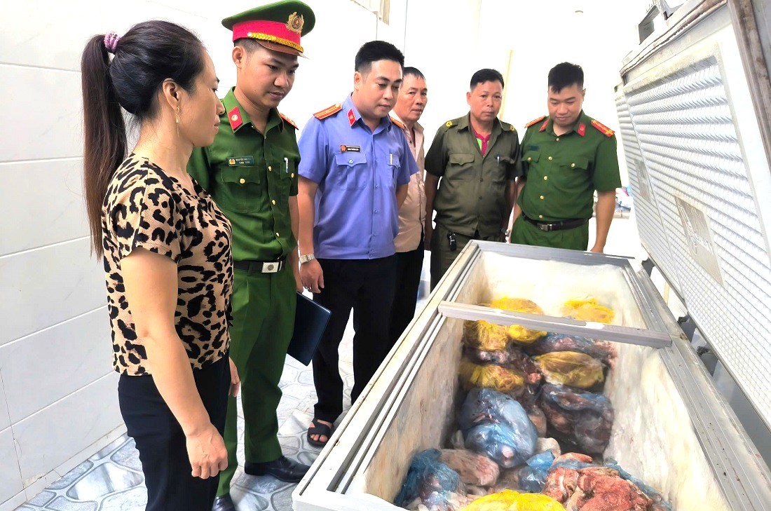 Giết mổ, bày bán lợn nhiễm dịch tả châu Phi, người phụ nữ bị khởi tố