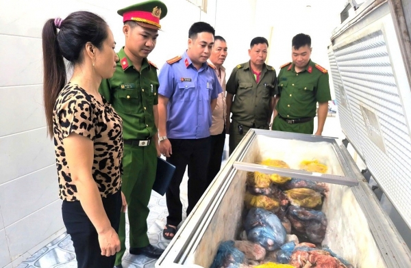Giết mổ, bày bán thịt lợn nhiễm dịch tả Châu Phi, người phụ nữ bị khởi tố