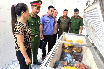 Giết mổ, bày bán thịt lợn nhiễm dịch tả Châu Phi, người phụ nữ bị khởi tố