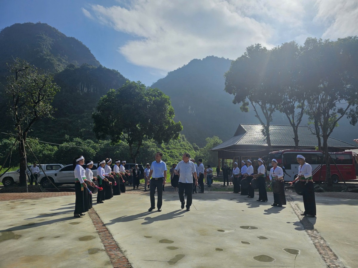 Khách quốc tế “mãn nhãn” tham quan Công viên Trà hoa vàng Ninh Bình