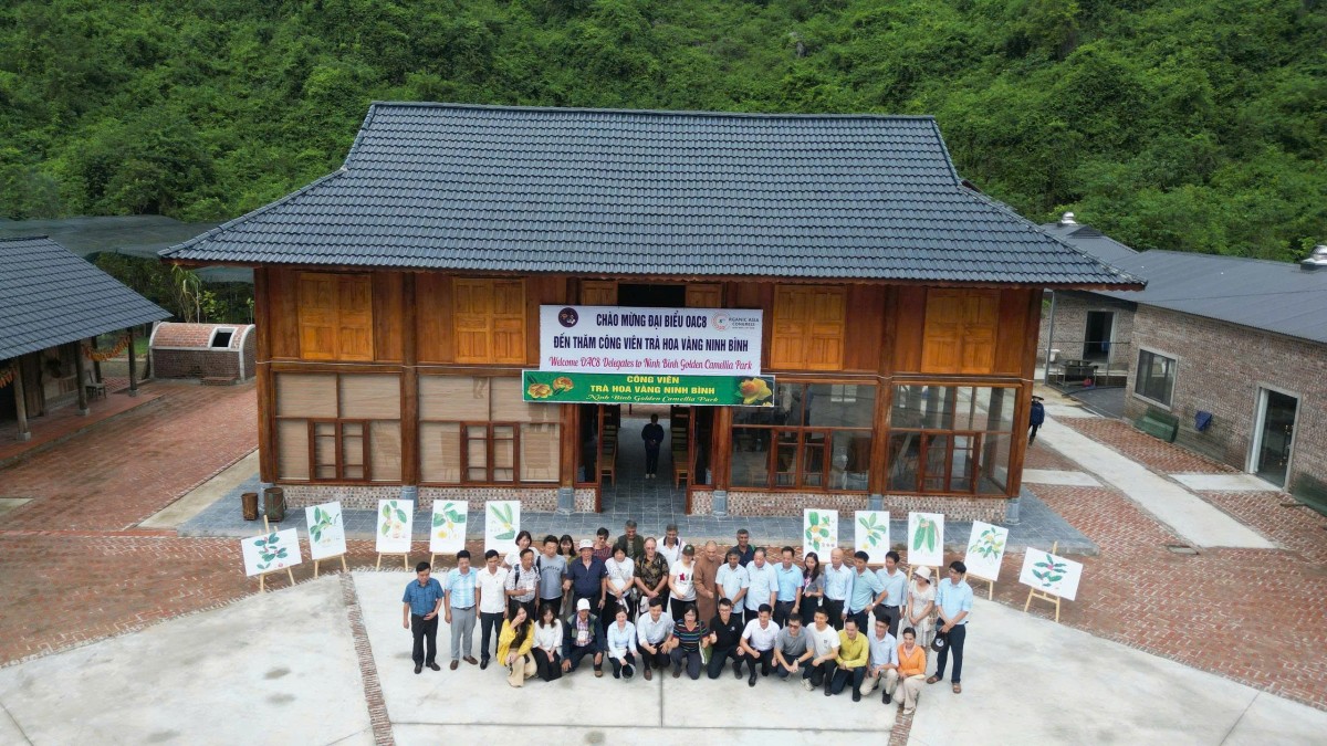 Khách quốc tế “mãn nhãn” tham quan Công viên Trà hoa vàng Ninh Bình