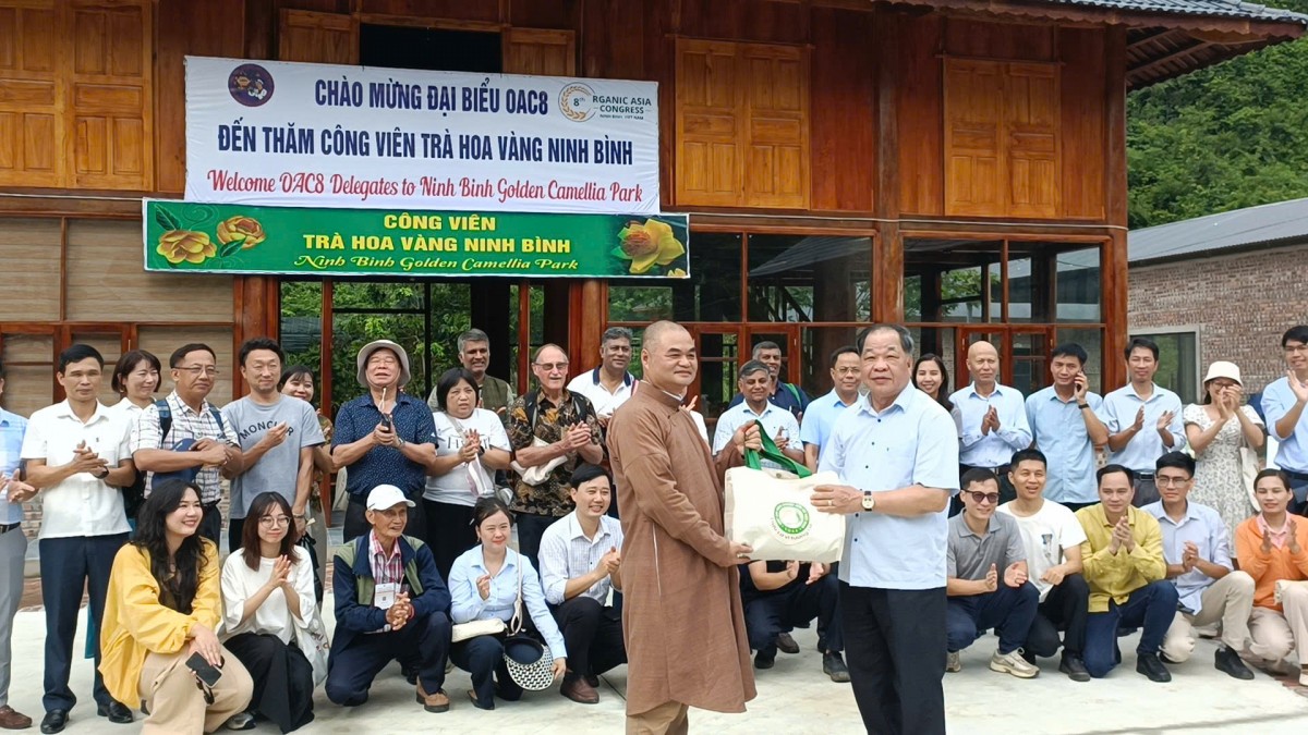 Khách quốc tế “mãn nhãn” với Công viên Trà hoa vàng ở Ninh Bình