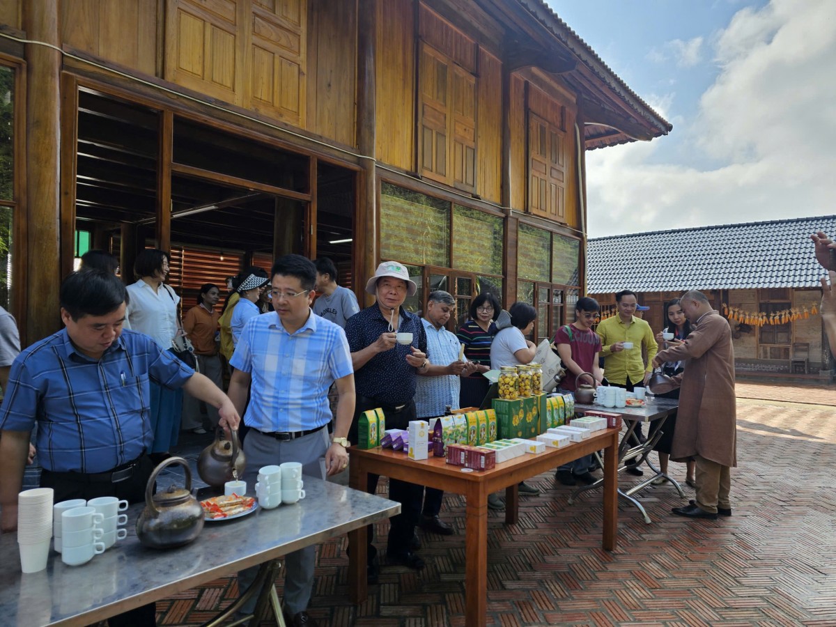 Khách quốc tế “mãn nhãn” tham quan Công viên Trà hoa vàng Ninh Bình