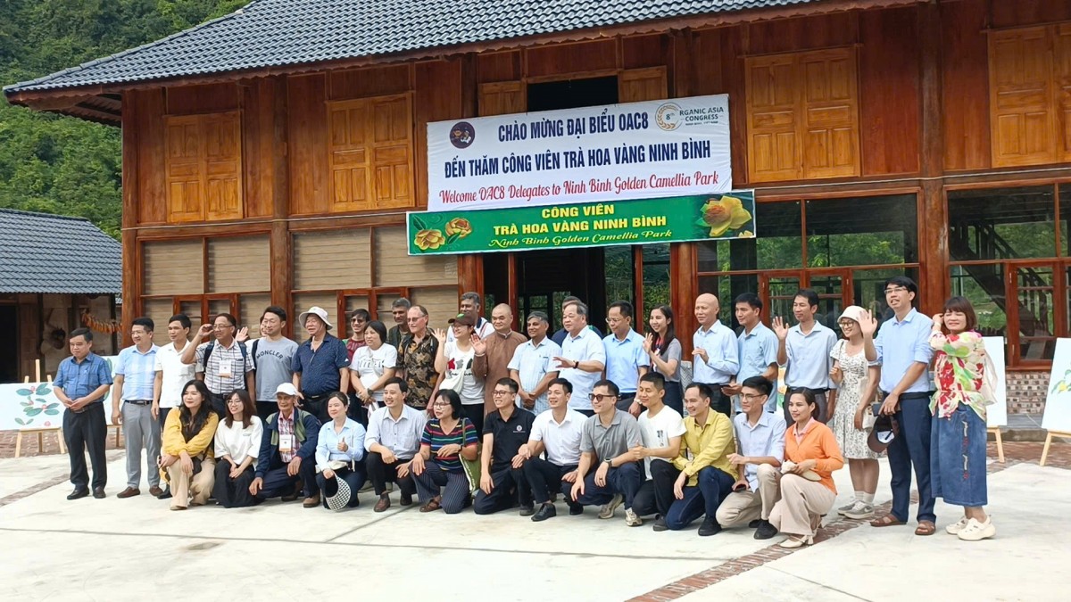 Khách quốc tế “mãn nhãn” tham quan Công viên Trà hoa vàng Ninh Bình