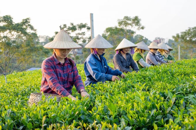 Người nông dân vươn lên làm chủ cuộc sống