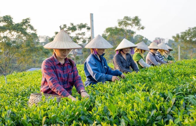 Người nông dân vươn lên làm chủ cuộc sống
