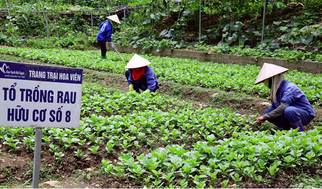 Người nông dân vươn lên làm chủ cuộc sống