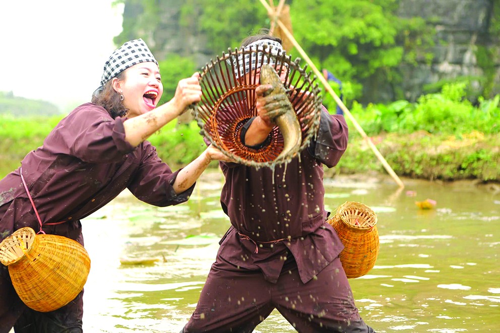 Phát triển Nông nghiệp hữu cơ ở Ninh Bình: Từ đồng ruộng đến trải nghiệm sinh thái, phục vụ du lịch