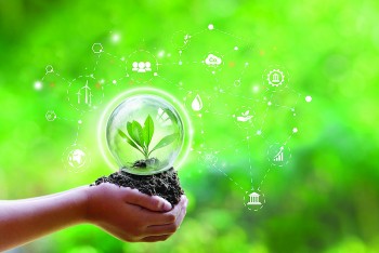 Nông nghiệp hữu cơ đồng hành cùng môi trường cho một hành tinh xanh