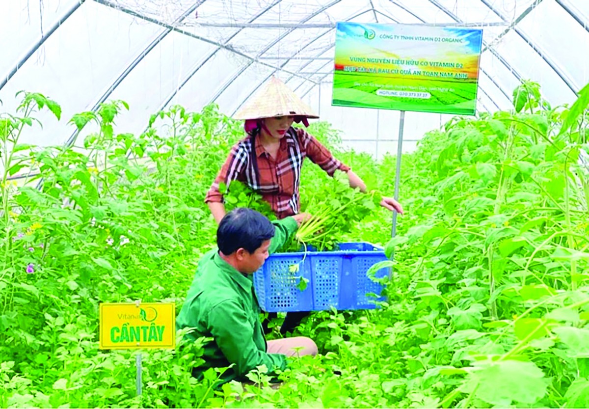 Nông dân là chủ thể kiến tạo nông nghiệp hữu cơ - thách thức và giải pháp