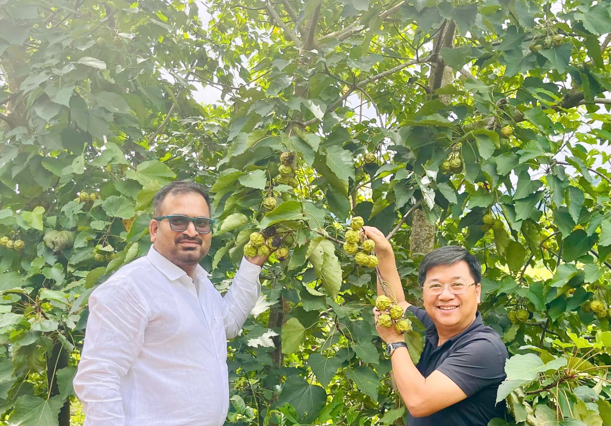 SEPON ký kết hợp tác với Finmor (Ấn Độ) về phát triển chuỗi giá trị cho sản phẩm từ cây trẩu