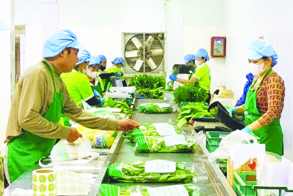 Xây dựng hệ thống truy xuất nguồn gốc: "Chìa khoá" để tăng giá trị, thương hiệu cho nông sản Việt